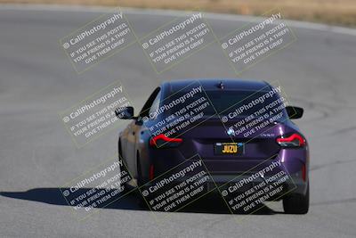 media/Nov-19-2023-Extreme Speed (Sun) [[bd0eec5490]]/Purple/Back Shots/